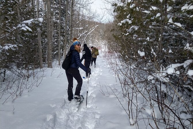 Private Nottawasaga Bluffs Caves Snowshoe, Collingwood/Creemore - Snowshoeing on the Niagara Escarpment with a Private Guide
