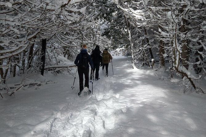 Private Nottawasaga Bluffs Caves Snowshoe, Collingwood/Creemore - Exploring the Best Caves and Hidden Nooks