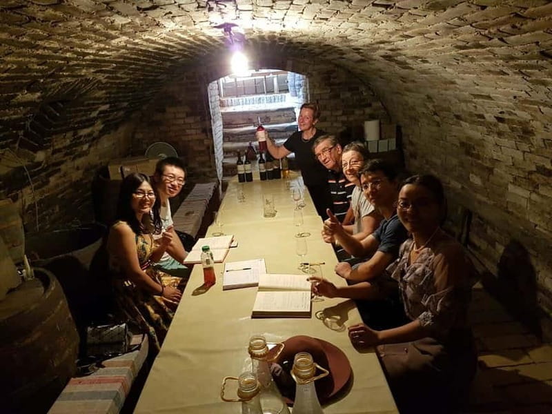 Private Novi Sad, Sremski Karlovci & Farmer's House - Key Points