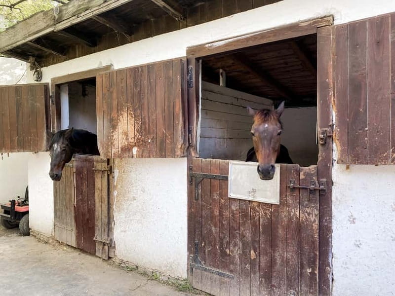 Private Novi Sad, Sremski Karlovci & Farmer's House - Pricing and Optional Extras