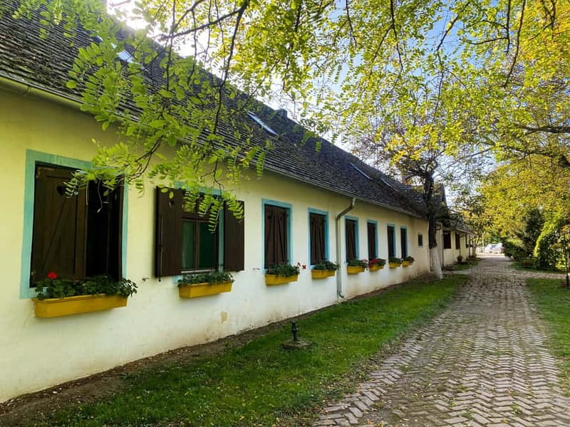 Private Novi Sad, Sremski Karlovci & Farmer's House - Guides and Customer Experience
