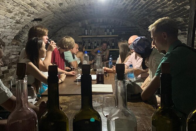 Private Novi Sad, Titanic wine tasting and Farmer's House - Key Points