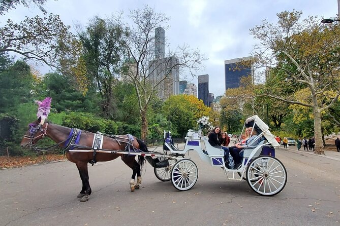 Private NYC Central Park Horse Carriage Ride (Guided) Since 1965 - Explore Central Park in Comfort with a Private Horse Carriage Ride