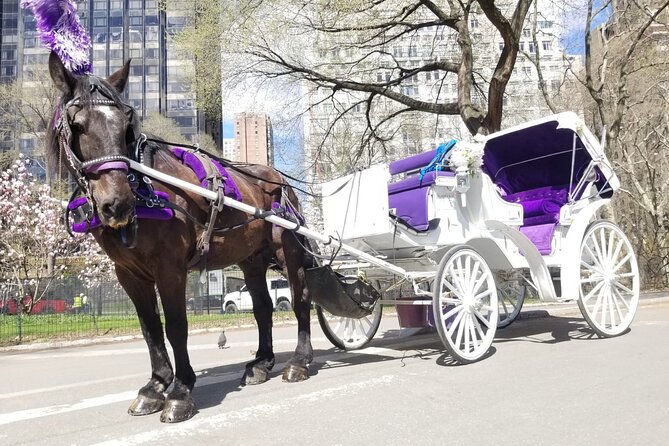 Private NYC Central Park Horse Carriage Ride (Guided) Since 1965 - Starting Point: Convenient Location Outside Central Park