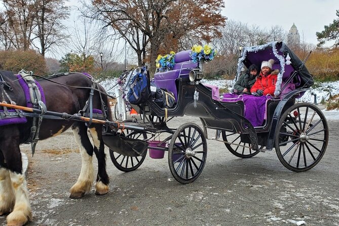 Private NYC Central Park Horse Carriage Ride (Guided) Since 1965 - Stops at Bethesda Fountain and Cherry Hill for Photos and Short Walks