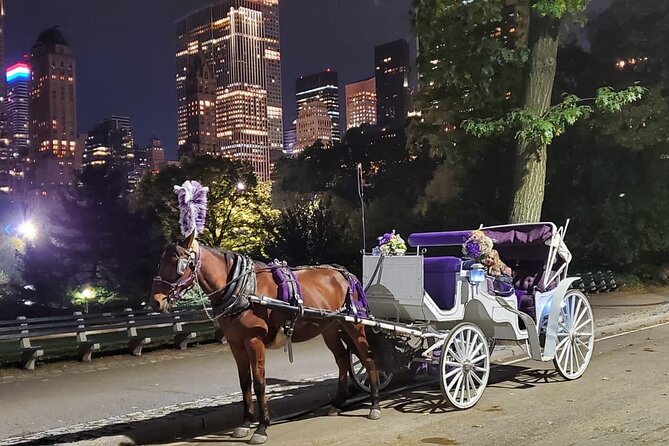 Private NYC Central Park Horse Carriage Ride (Guided) Since 1965 - Seasonal Comfort and Practical Extras