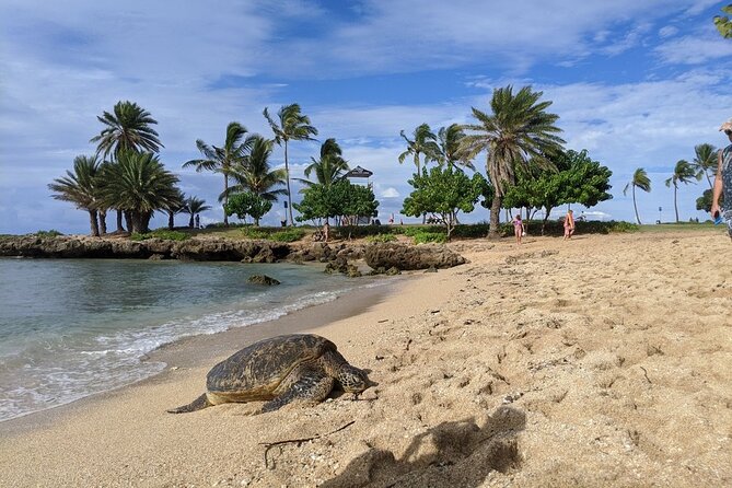 Private Oahu Circle Island Tour - Explore Haleiwa Town Center