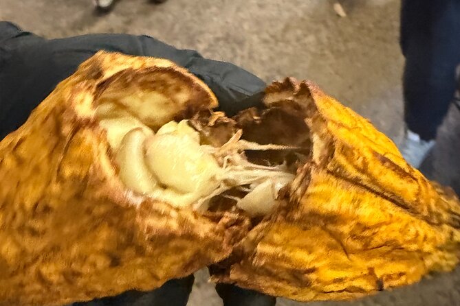 Private O'ahu Island Tour Waimea Waterfalls and Local Delights - Sampling at Kahuku Sugar Mill and Food Truck Delights