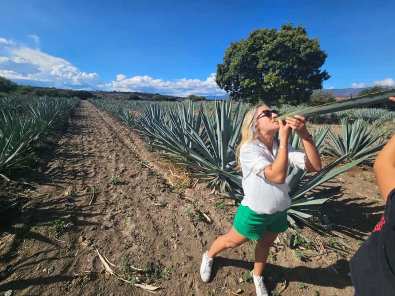 Private Oaxaca: Artisanal Mezcal, Alebrijes, and Textiles - Explore Oaxaca’s Artistic Heritage with This Private Tour