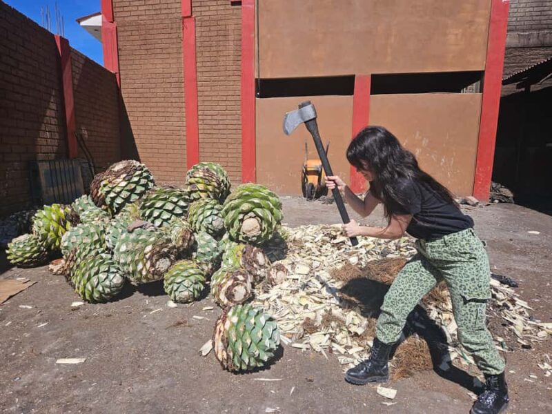 Private Oaxaca: Artisanal Mezcal, Alebrijes, and Textiles - Authentic Market Lunch in Ocotlán de Morelos