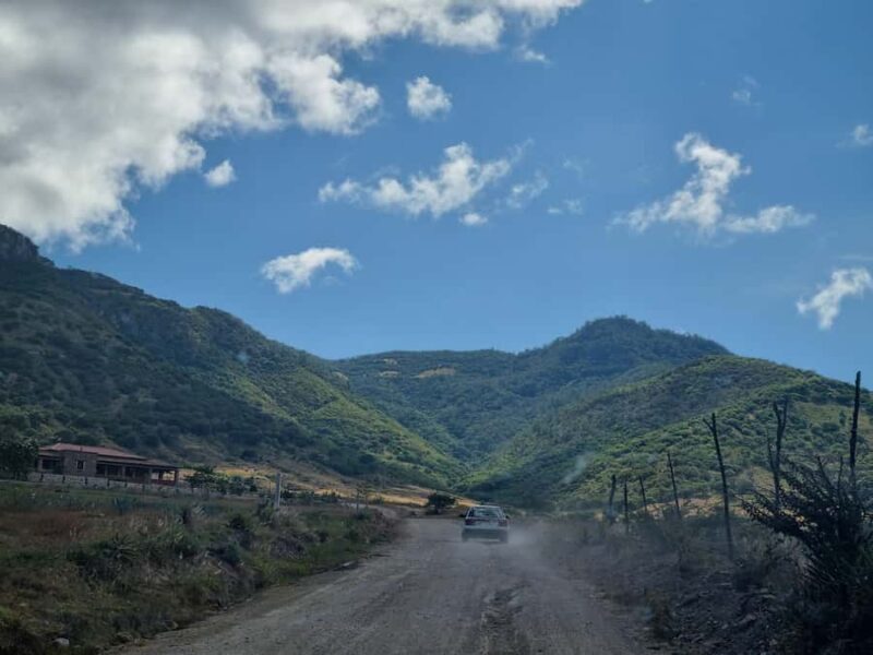 Private Oaxaca: Artisanal Mezcal, Alebrijes, and Textiles - Final Words on This Oaxaca Artisans Tour