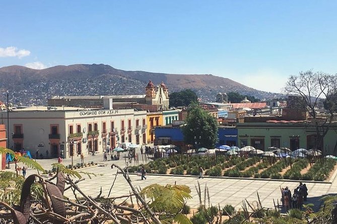 Private Oaxaca Walking Tour with Mezcal Tasting - Exploring Oaxaca’s Local Markets and Public Spaces