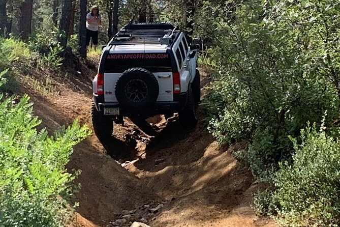 Private Off Road Adventure Tours in the Prescott National Forest - Additional Highlights and Unique Touches