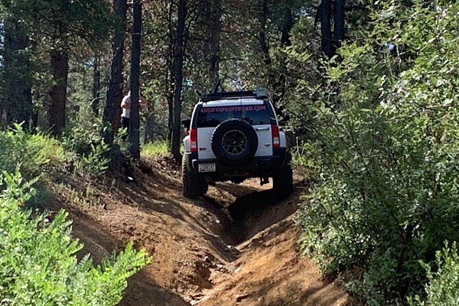 Private Off Road Adventure Tours in the Prescott National Forest - Frequently Asked Questions