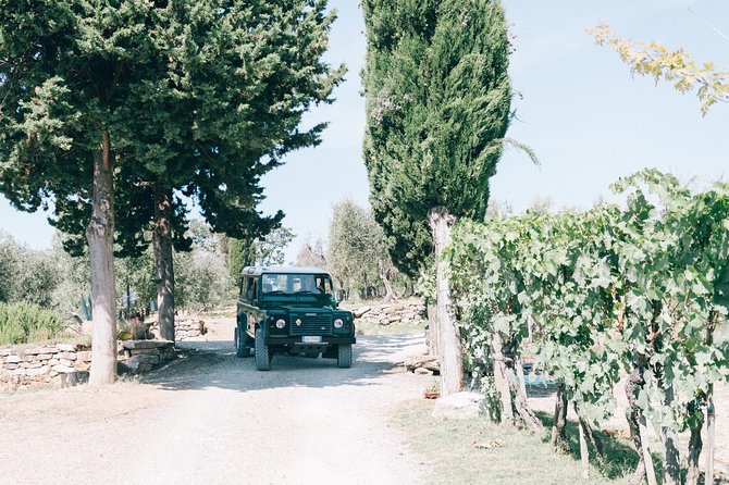 Private Off Road Wine Tour in Chianti - The Tuscan Picnic Lunch: A Family-Run Winery Experience