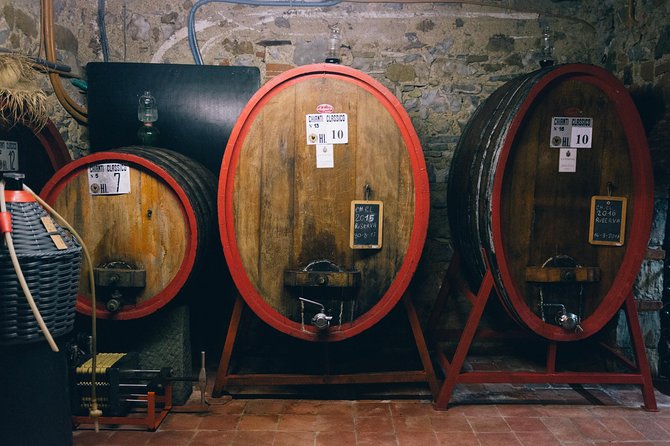 Private Off Road Wine Tour in Chianti - The Vehicle and the Adventure Atmosphere