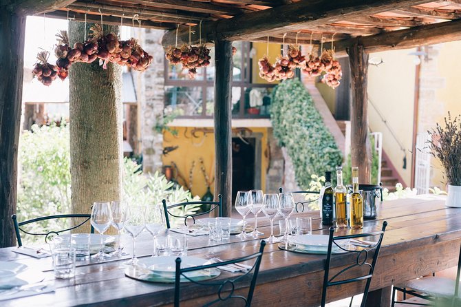 Private Off Road Wine Tour in Chianti from Siena - Scenic Picnic Lunch at a Family Winery