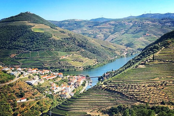 Private off the beaten Douro Valley Wine Tour - Visiting a Boutique Winery in Sabrosa
