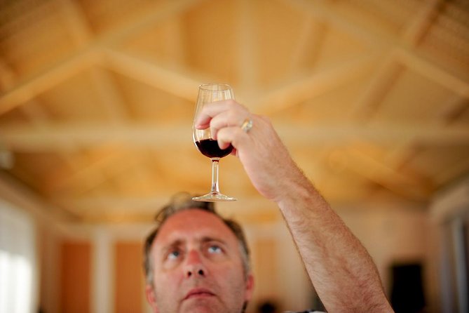 Private off the beaten Douro Valley Wine Tour - Lunch at a Vineyard in Peso Da Regua