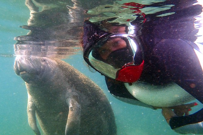 Private 'OG' Manatee Snorkel Tour with Guide for up to 10 people - Safety and Accessibility on the Tour