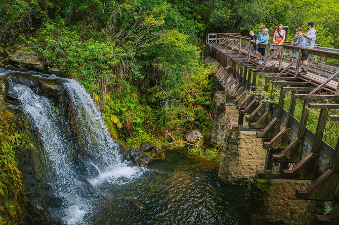 Private Ohana Kohala Waterfalls Adventure - Lunch with Views Over Mokulanikila