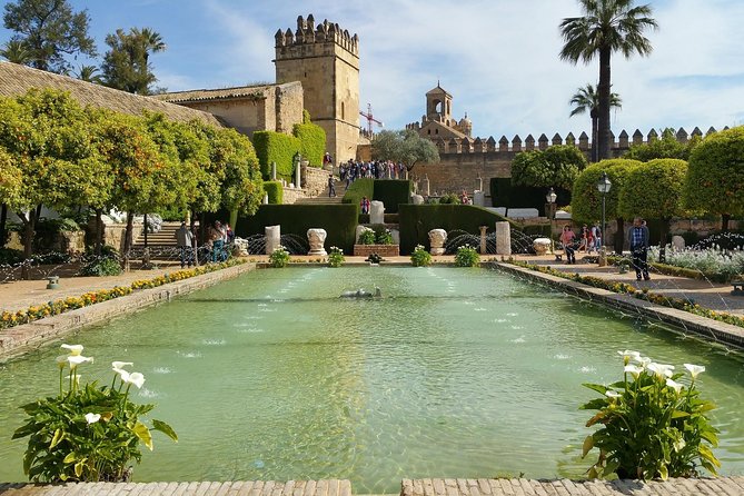 Private Old Cordoba walking tour and Mosque-Cathedral - Who Should Book This Tour?