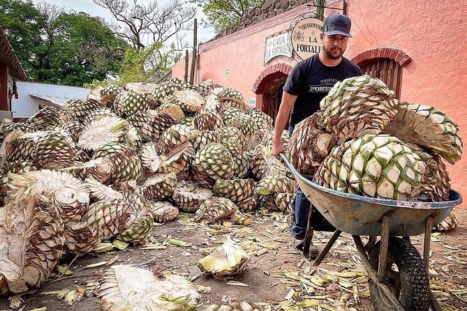 Private One Day Adventure Tour in Tequila and La Fortaleza Distillery - Key Points