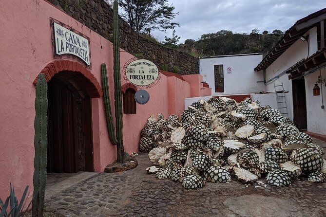 Private One Day Adventure Tour in Tequila and La Fortaleza Distillery - Highly Praised Guides and Flexibility