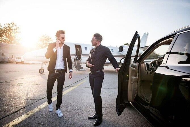 Private One-way Airport Transfer Venice Airport to Venice - Accessibility and Additional Services