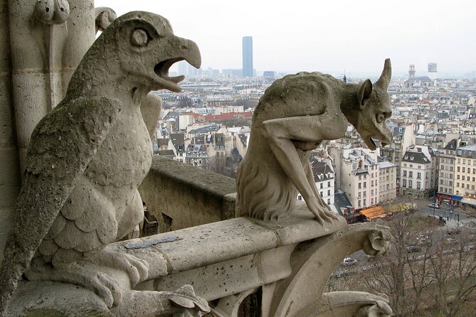 Private One-Way Transfer: City of Paris - Real-Life Examples of Service Excellence