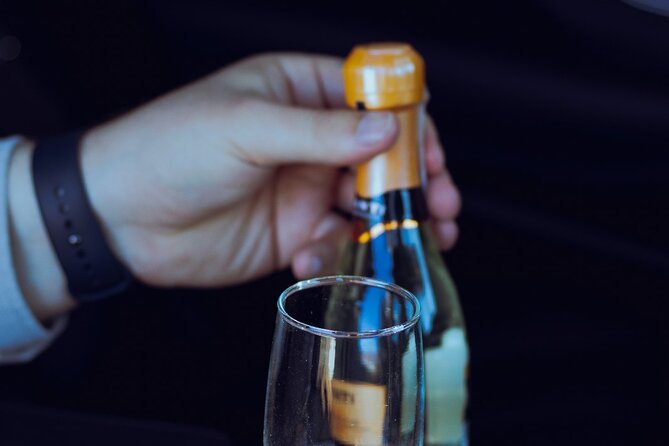 Private One Way Transfer in Sofia - The Experience of the Driver and Service Quality