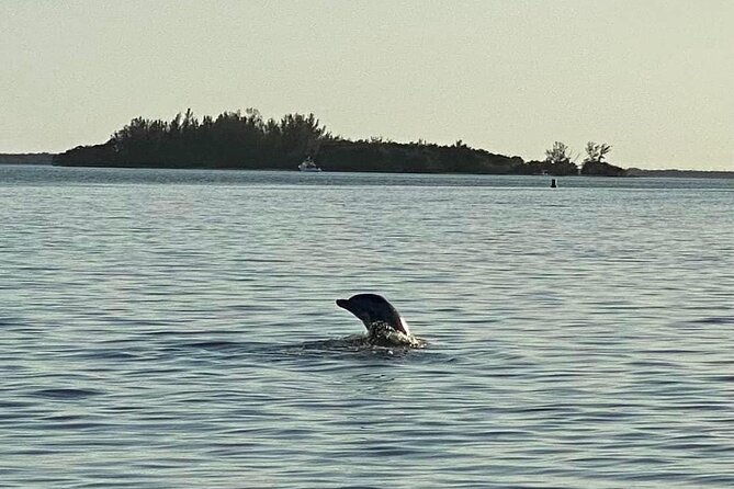 Private ONLY Dolphin Boat Tours - Why Choose This Private Dolphin Tour in Cape Coral?