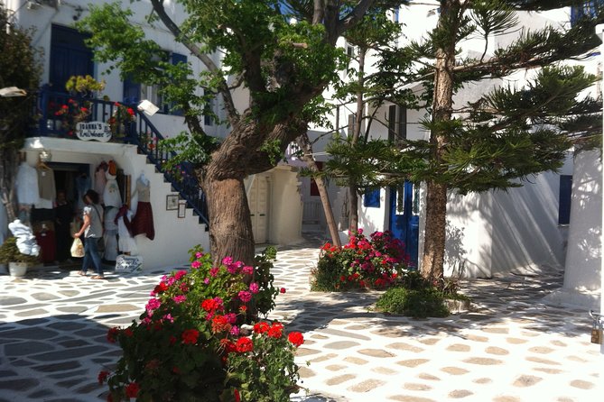 Private Only "The Highlights" Walking tour - Key Points