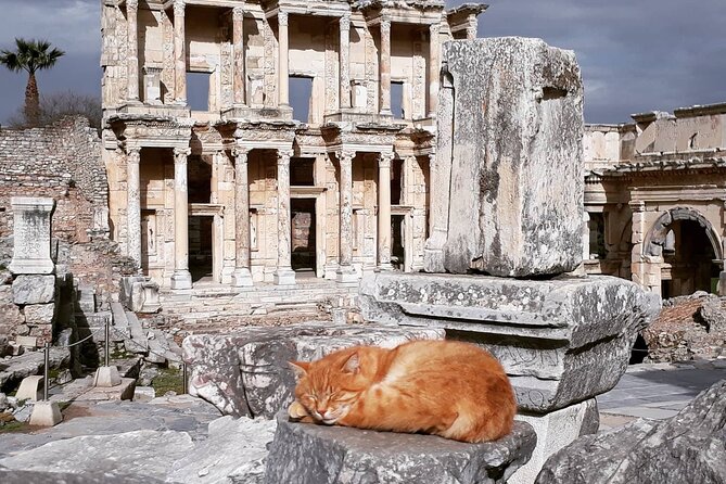 Private or Group Ephesus & Terrace Houses with Ticket for Cruiser - Visiting the Temple of Artemis: One of the Seven Wonders