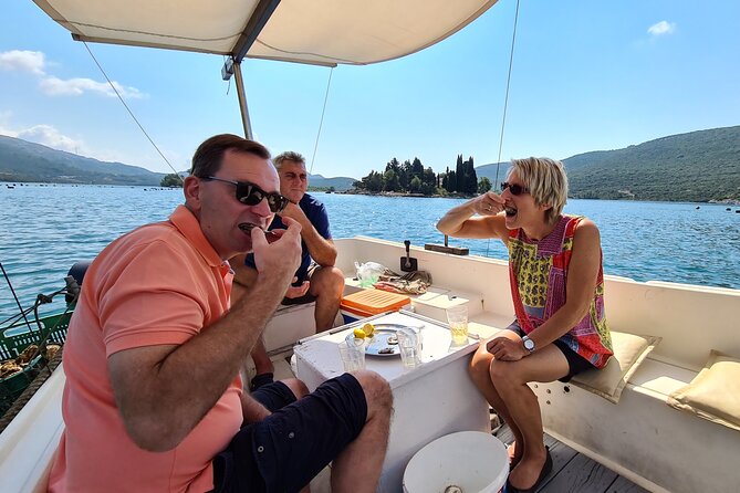 Private Oyster and Wine Tasting Day Trip along Peljesac - Oyster Tasting and Boat Experience at Mali Ston