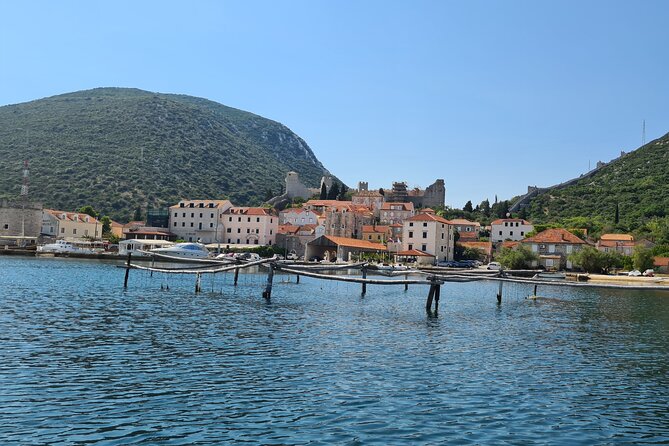 Private Oyster and Wine Tasting Day Trip along Peljesac - Optional Ston Wall Tickets and Additional Costs