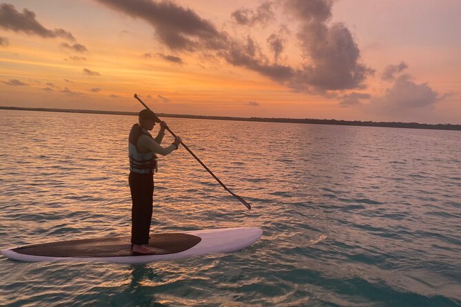 Private Paddleboard Experience in Bacalar - Key Points