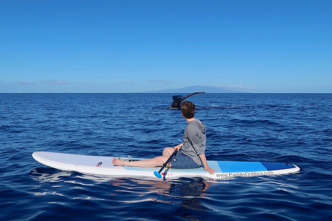 Private Paddleboard (SUP) Whale Watch: All Skill Levels Welcome - Maui’s Wailea-Makena Coastline: The Heart of Whale Watching