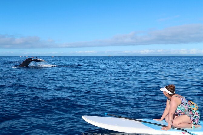 Private Paddleboard (SUP) Whale Watch: All Skill Levels Welcome - Weather and Cancellation Policies