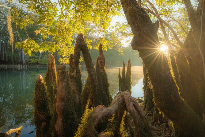 Private Panama City Beach Photo Excursion - Explore the Private Panama City Beach Photo Excursion in Destin, USA