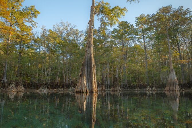 Private Panama City Beach Photo Excursion - Key Points