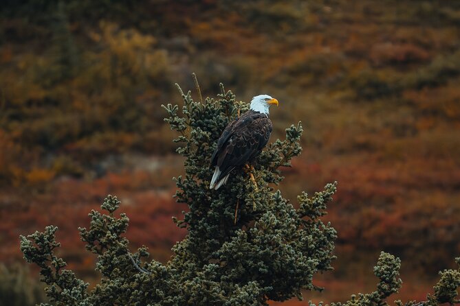 Private Panama City Beach Photo Excursion - The Sum Up: A Personalized Photography Adventure in Destin