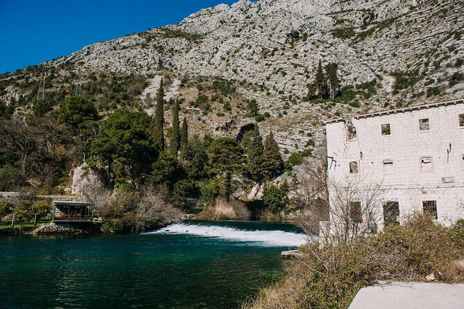 Private Panorama Buggy Tour (Half Day) - Concluding with a Local Brunch at Koraevo