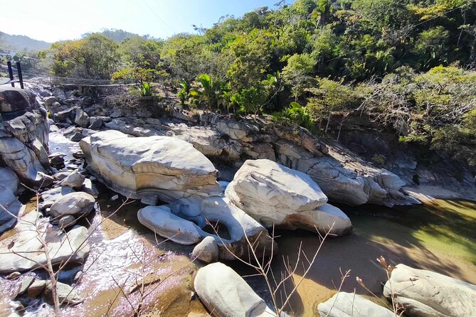 Private Panoramic and Cultural Tour of Puerto Vallarta - Learning About Local Tequila in El Nogalito