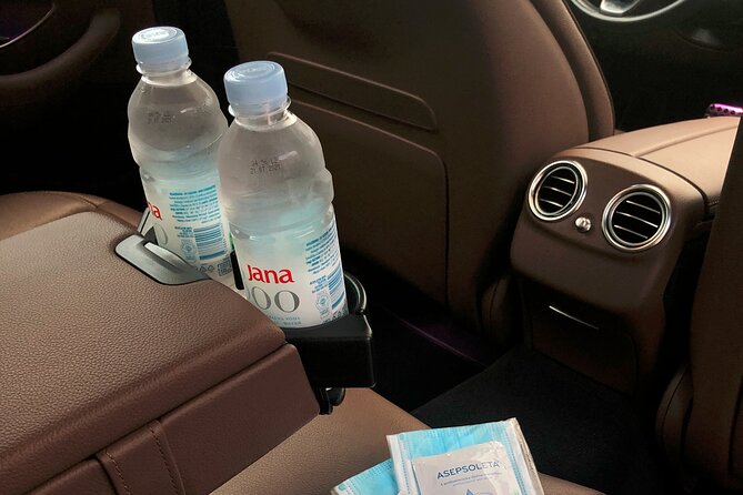 Private Panoramic Tour of Dubrovnik - Comfort and Convenience of Private Transportation