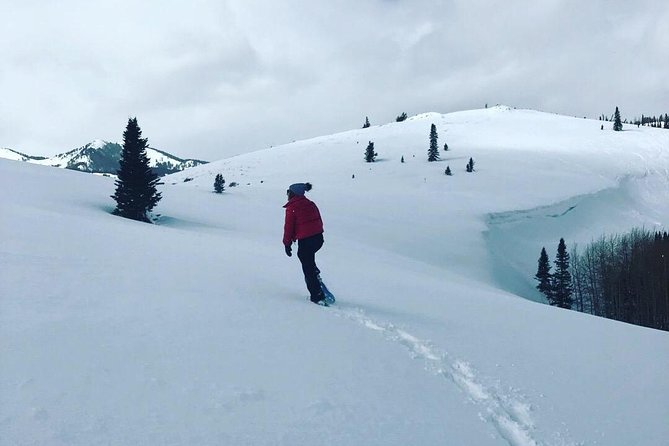 Private Park City Snowshoe Excursions (9:30am/12:30pm start time) - Scenic Snowshoe Trails in Utah’s High Country