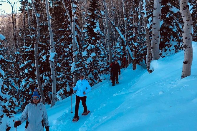 Private Park City Snowshoe Excursions (9:30am/12:30pm start time) - Experience the Wilderness of Utah’s High Country
