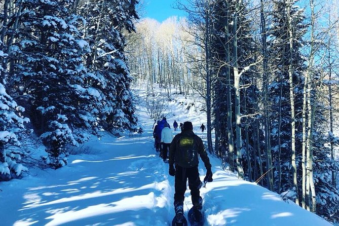 Private Park City Snowshoe Excursions (9:30am/12:30pm start time) - Practical Tips for Snowshoeing in Park City