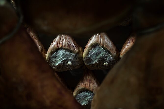 Private Parmigiano Balsamic Parma Ham and Wine Tasting Tour - Key Points