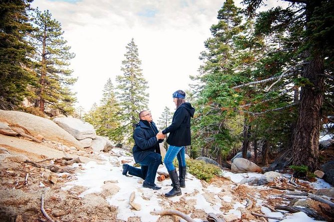 Private Photo Session with a Local Photographer in Palm Springs - Final Thoughts on the Palm Springs Private Photo Session